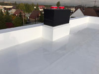 Клеевая система ТПО Carlisle 1.52 мм