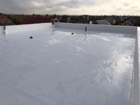 Клеевая система ТПО Carlisle 1.52 мм