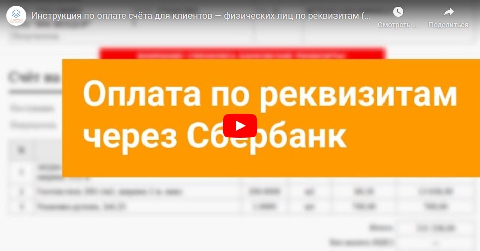 Видео-инструкция (оплата по реквизитам)